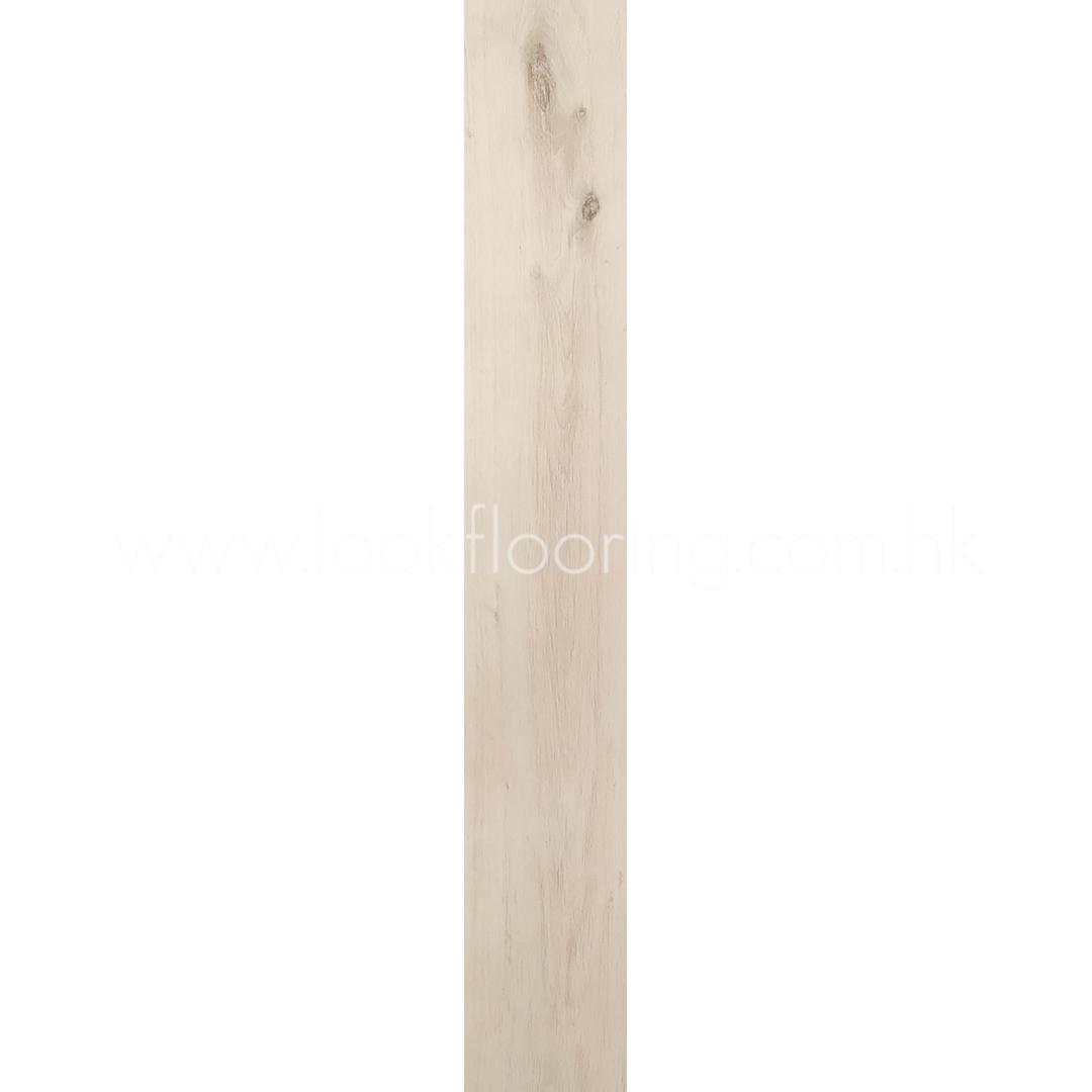 hs1006_2