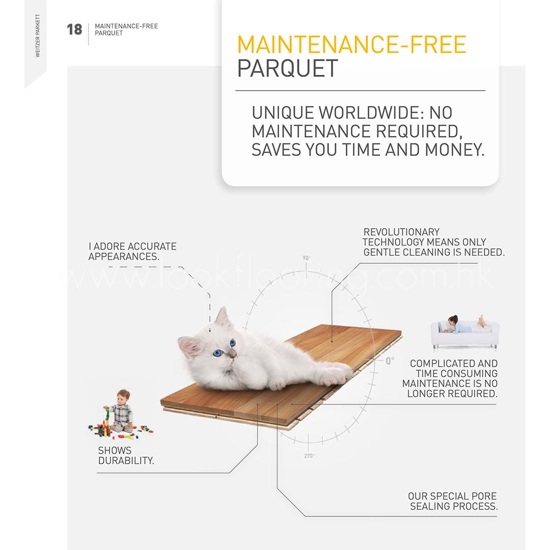 MAINTENANCE-FREE